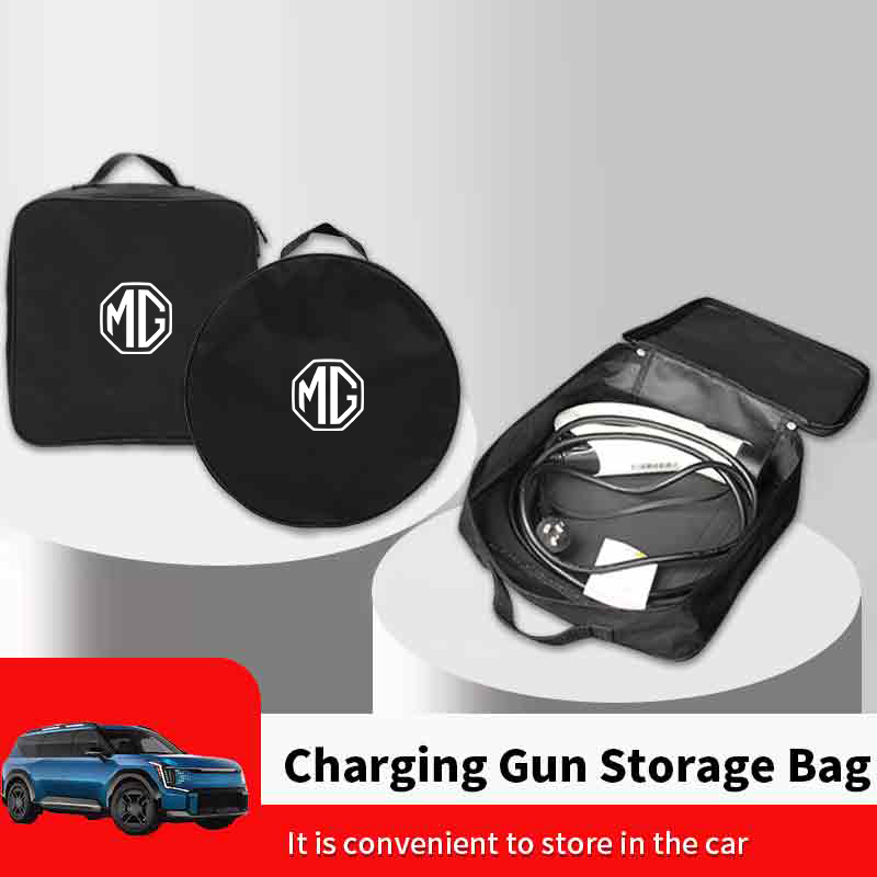 Sac de rangement pour pistolet - Tool Chest Cabinet avis et prix